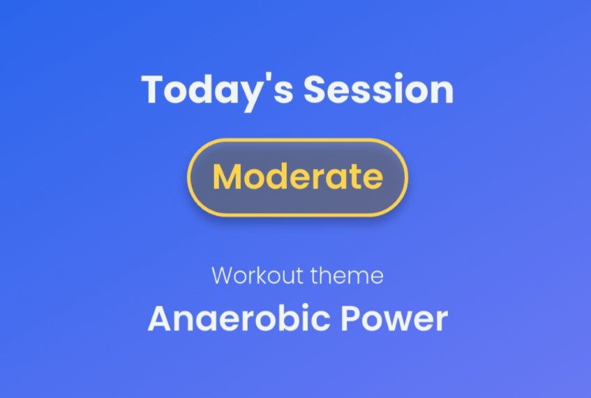 Daily Adaptive Training Plan